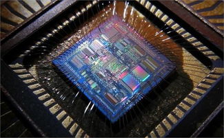 专用集成电路的发展与应用 集成电路设计的创新之路