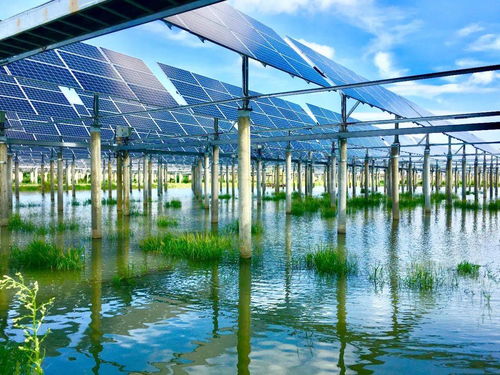 春耕正当时，央企齐绘春日乡村振兴图 以集成电路设计赋能智慧农业新篇章